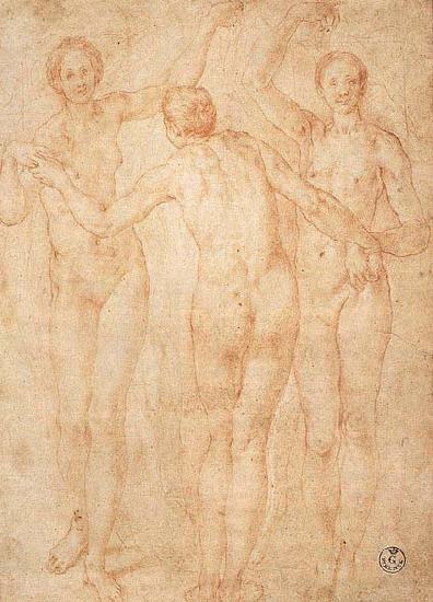 Jacopo Pontormo Three Graces